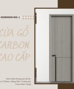 Cửa gỗ phủ bề mặt tinh thể carbon ■600 Normon No.1